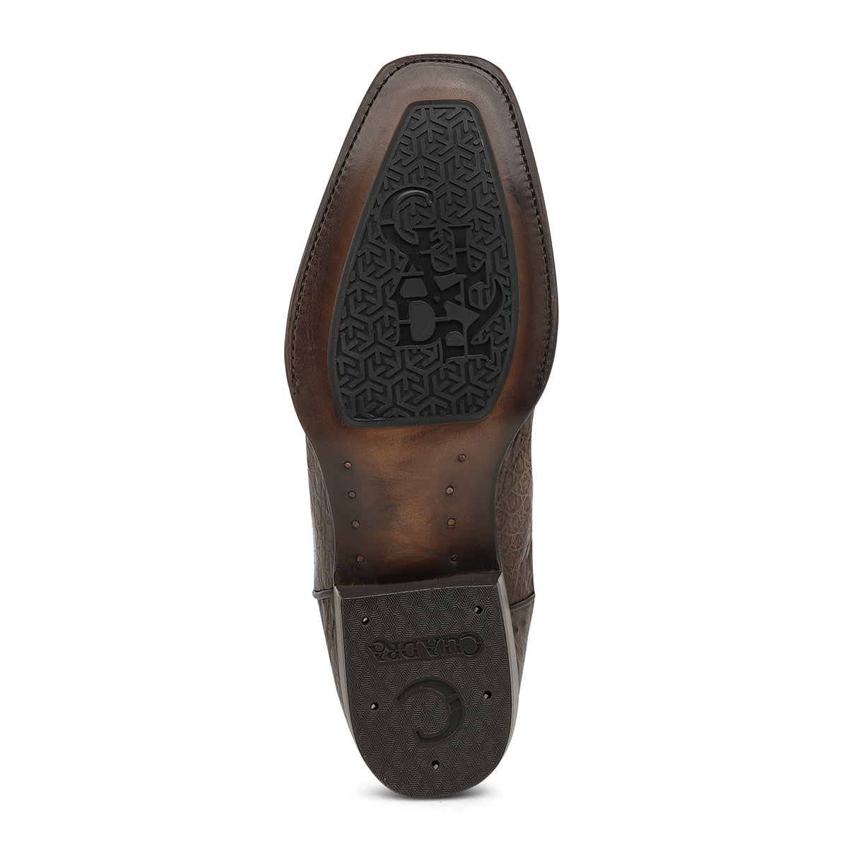 Cuadra Honey Caiman Fuscus CC292