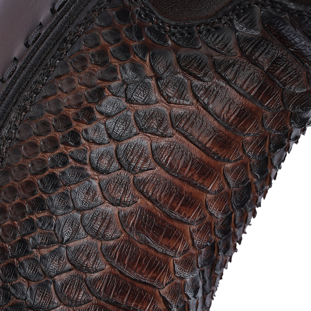 Cuadra Honey Python Embroidery & Laser & Woven Narrow Toe CU854