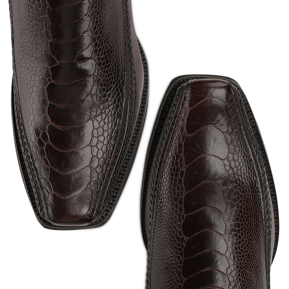 Brown Ostrich Leg Laser & Zipper Narrow Square CC346