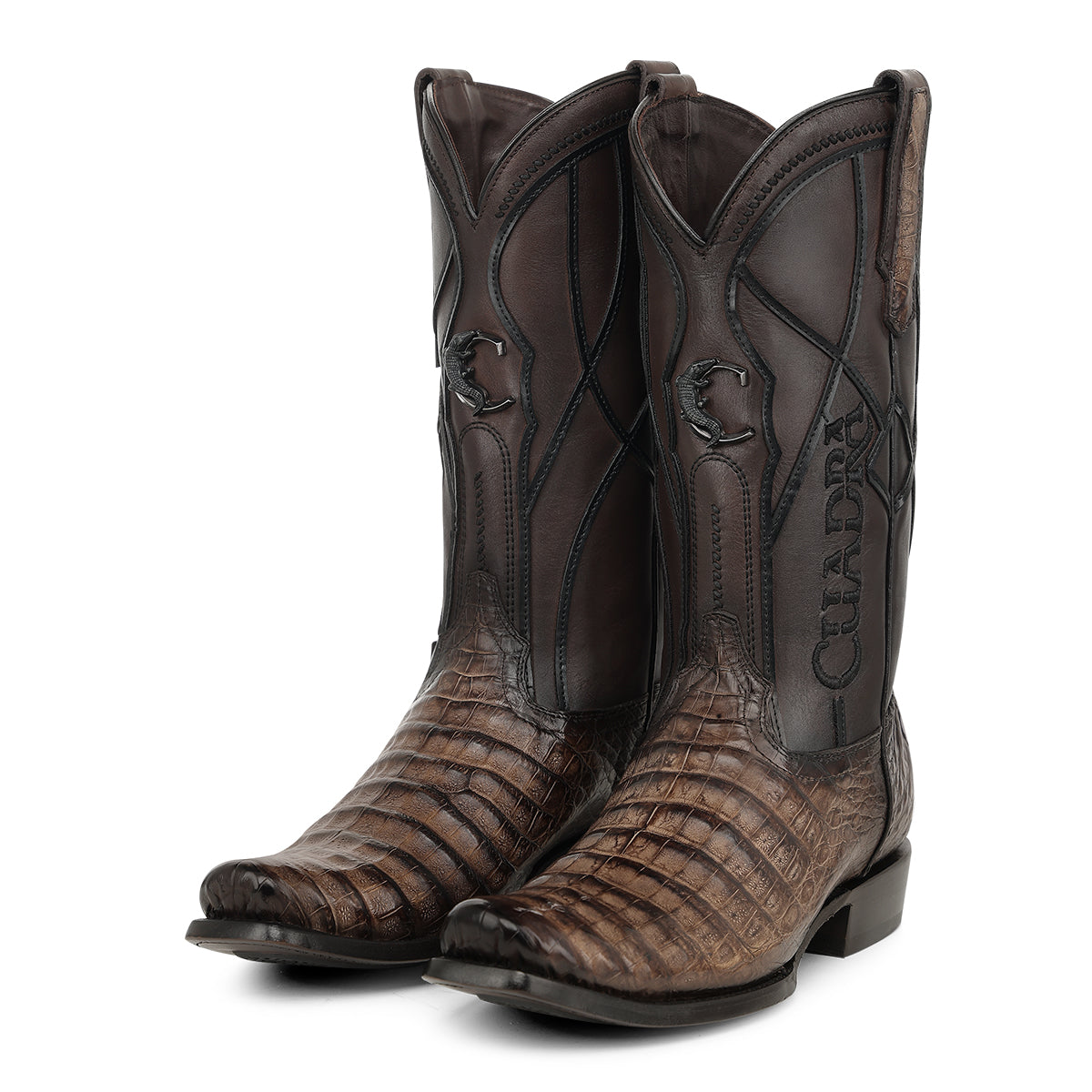 Cuadra Honey Caiman Fuscus CC292