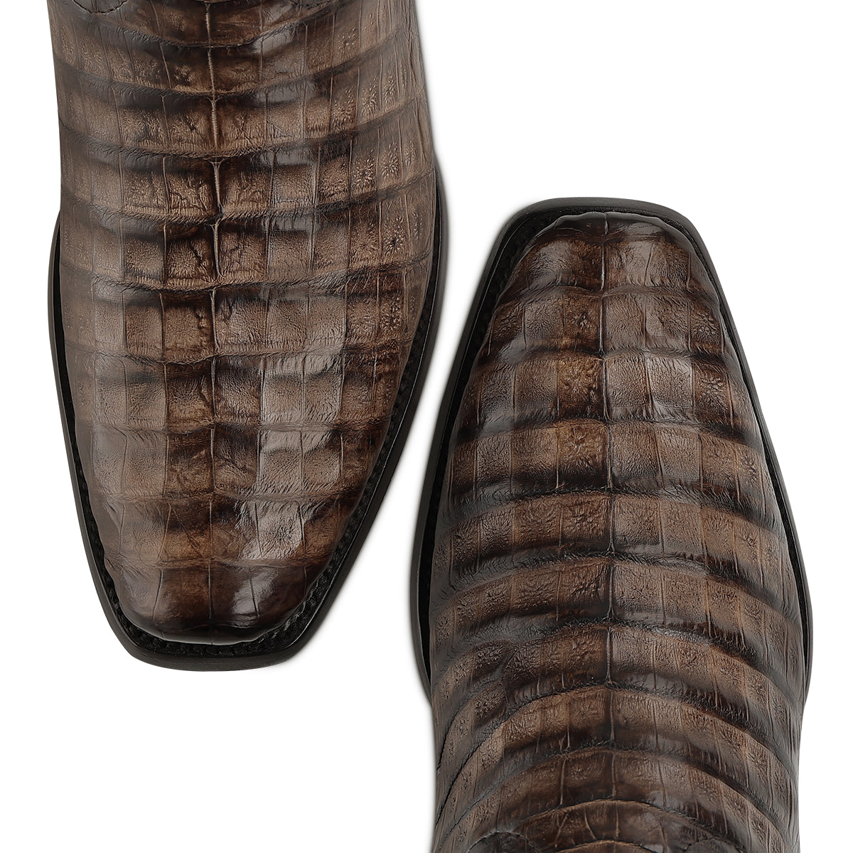 Cuadra Honey Caiman Fuscus CC292