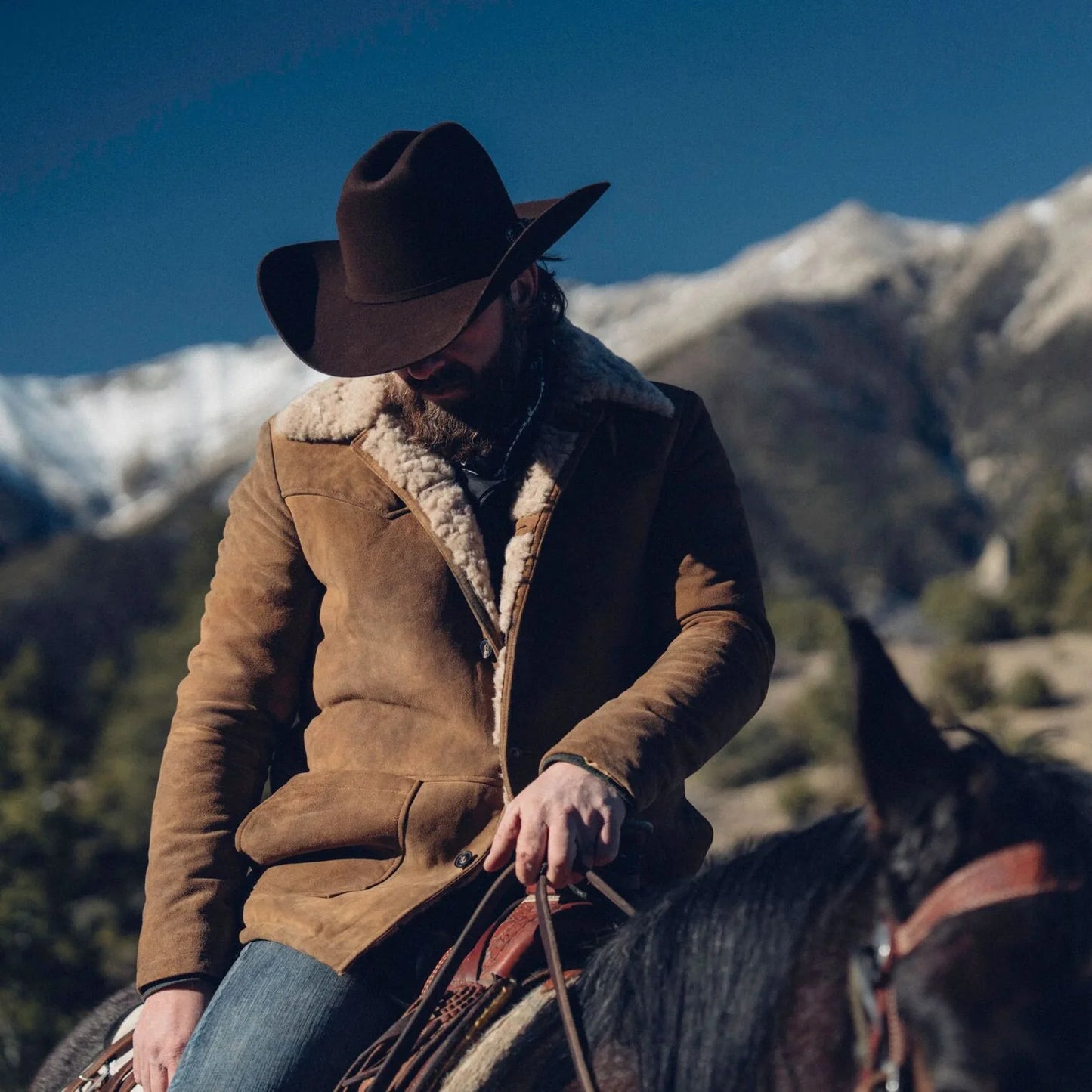 Stetson Skyline 6X Chocolate Brim 4