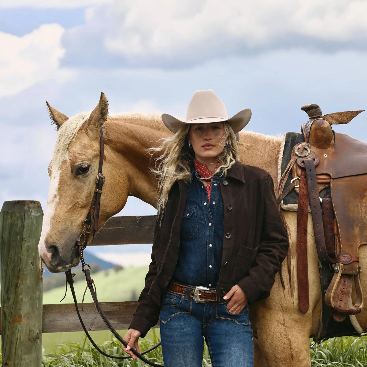Stetson Skyline 6X Silverbelly Brim 4