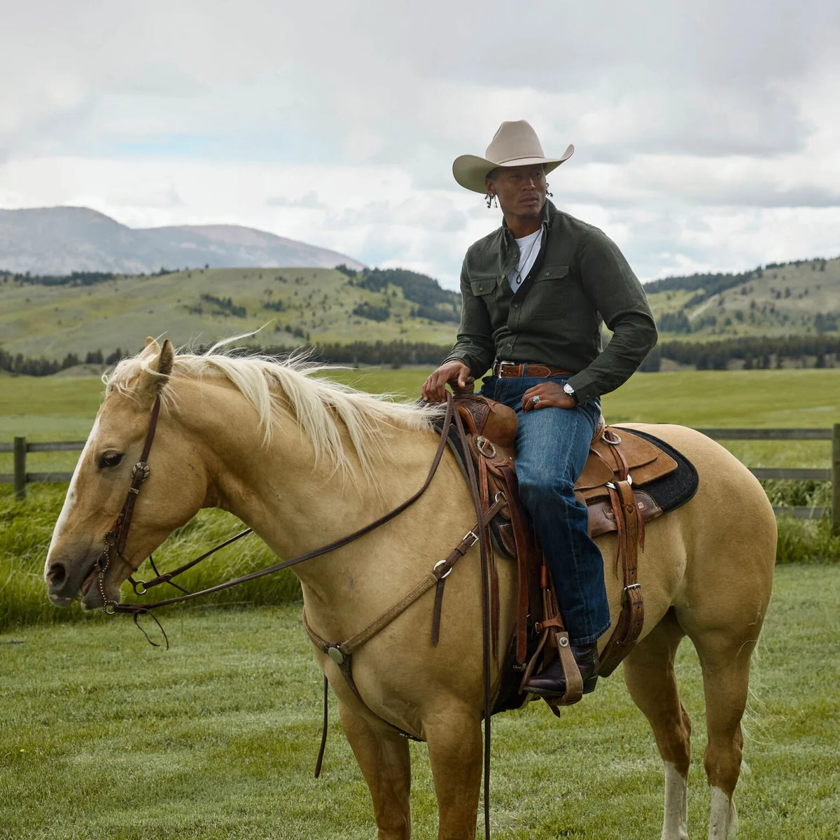 Stetson Skyline 6X Silverbelly Brim 4