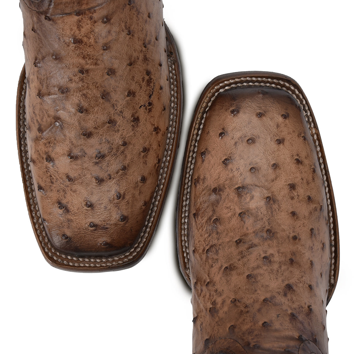 Cuadra Lugano Brown Ostrich Embroidery & Laser CU744