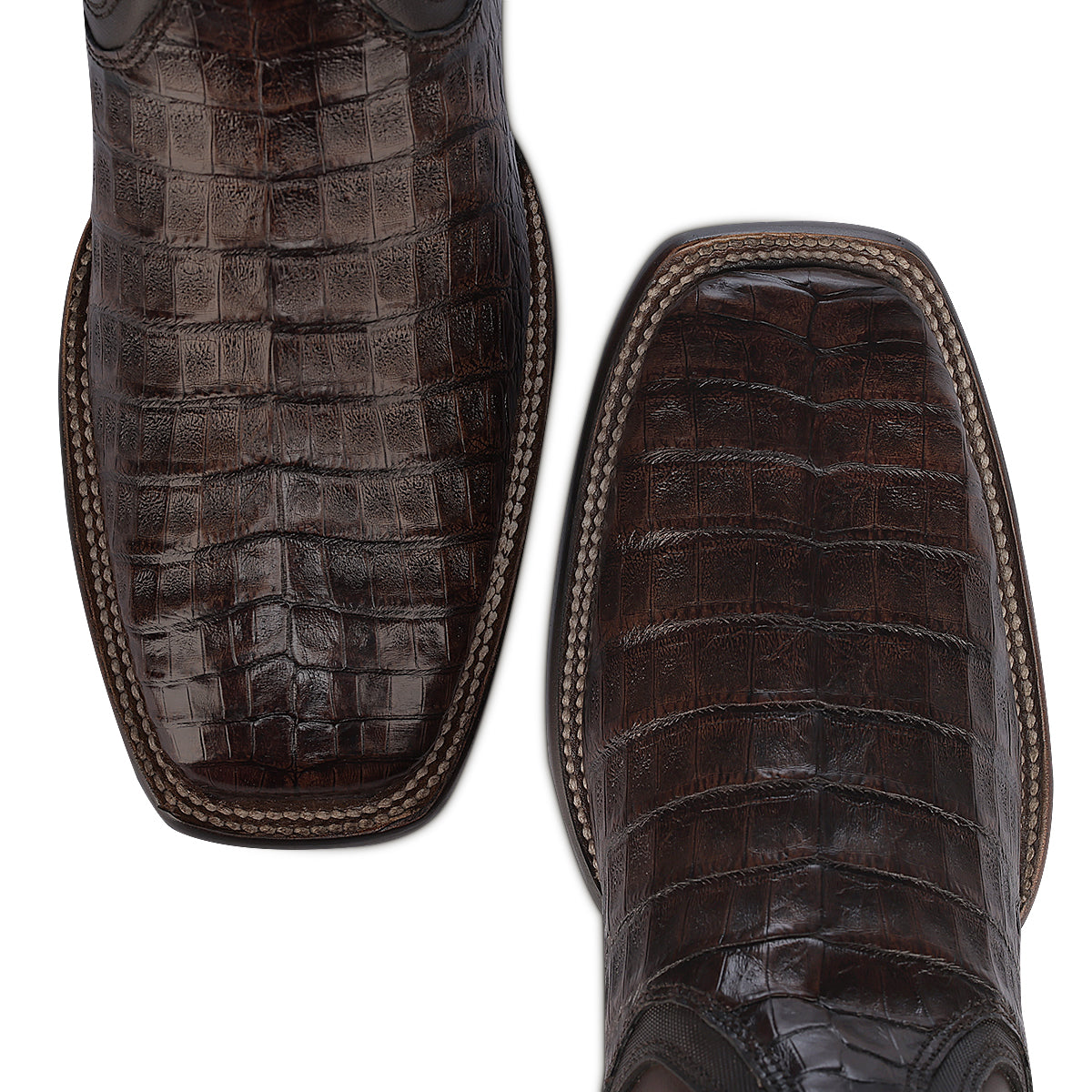 Cuadra Honey Caiman Zipper & Elastic Square Toe CU892