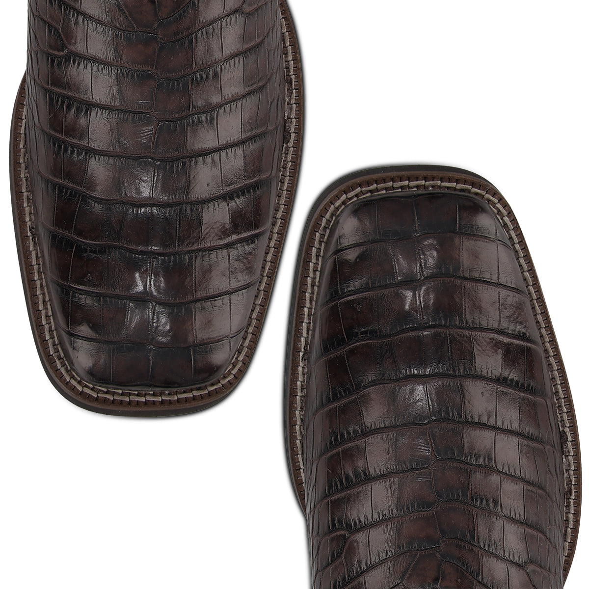 Cuadra Chocolate Alligator Embroidery & Laser & Woven CC202