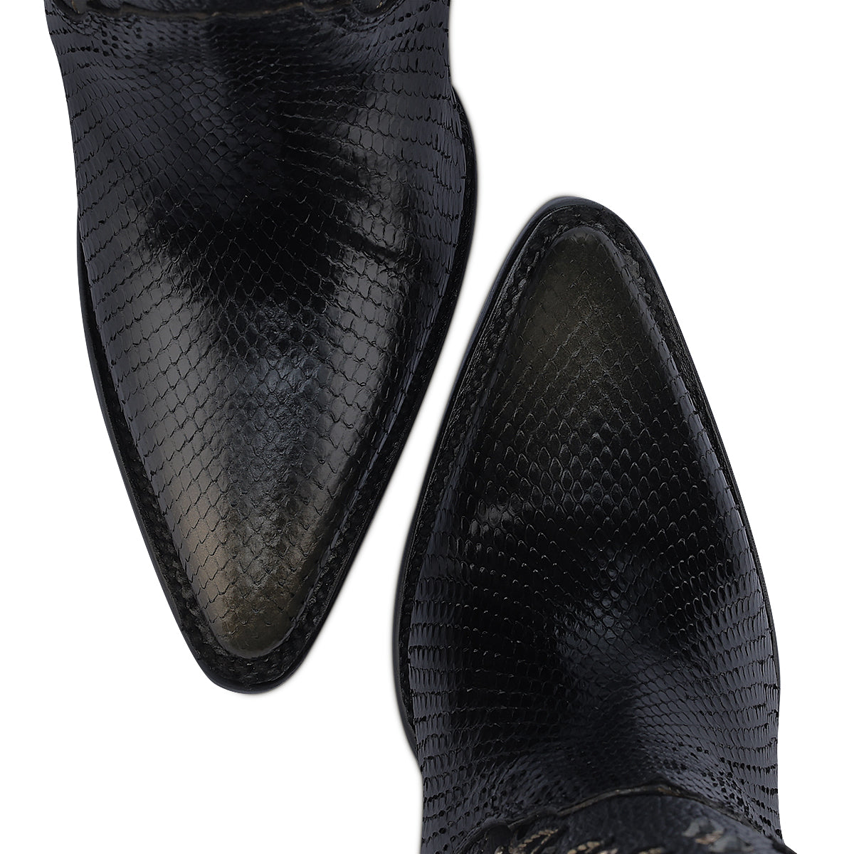 Cuadra Black Python Embroidery & Studs & Zipper CU869