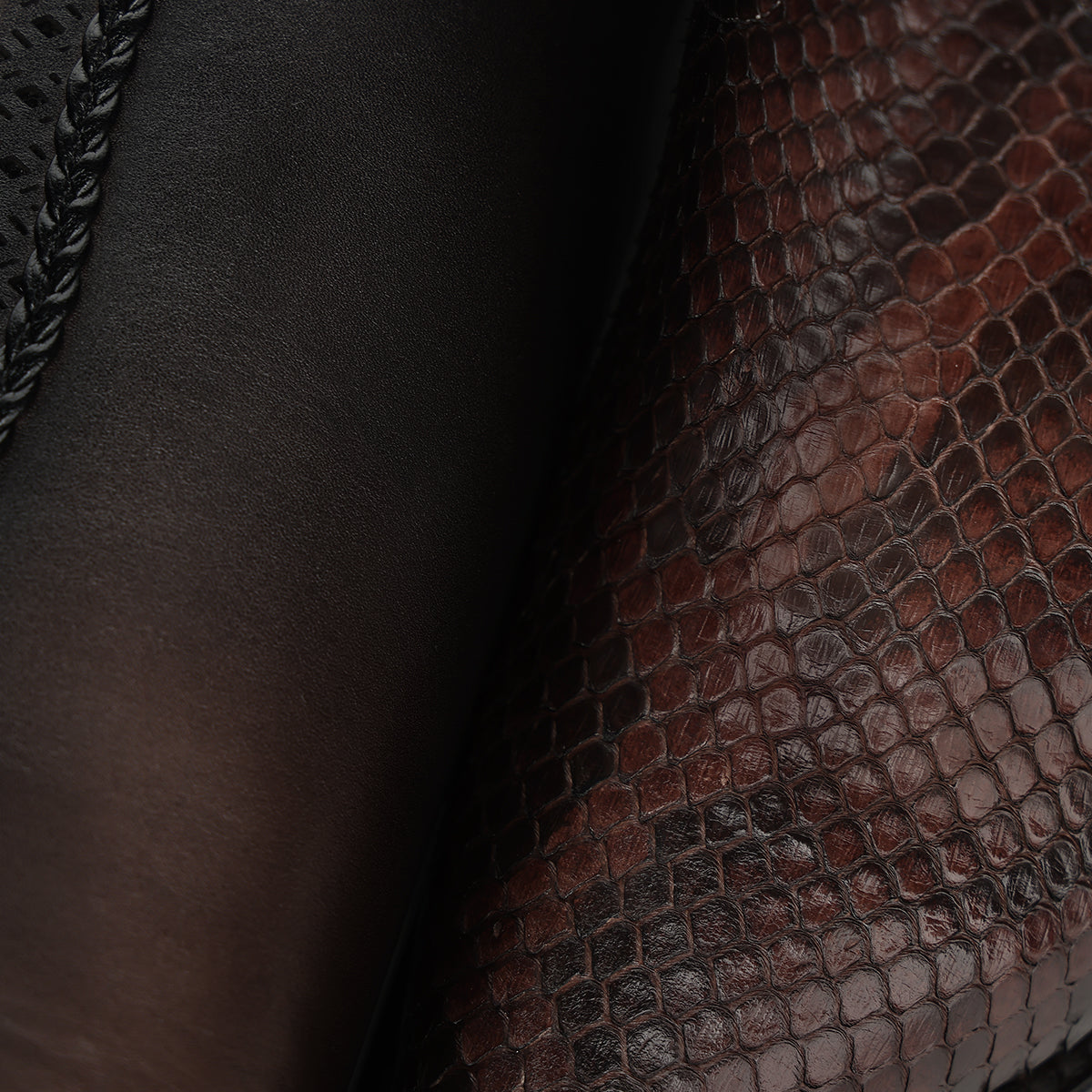 Chocolate Python M Zipper & Studs & Laser Point CC336