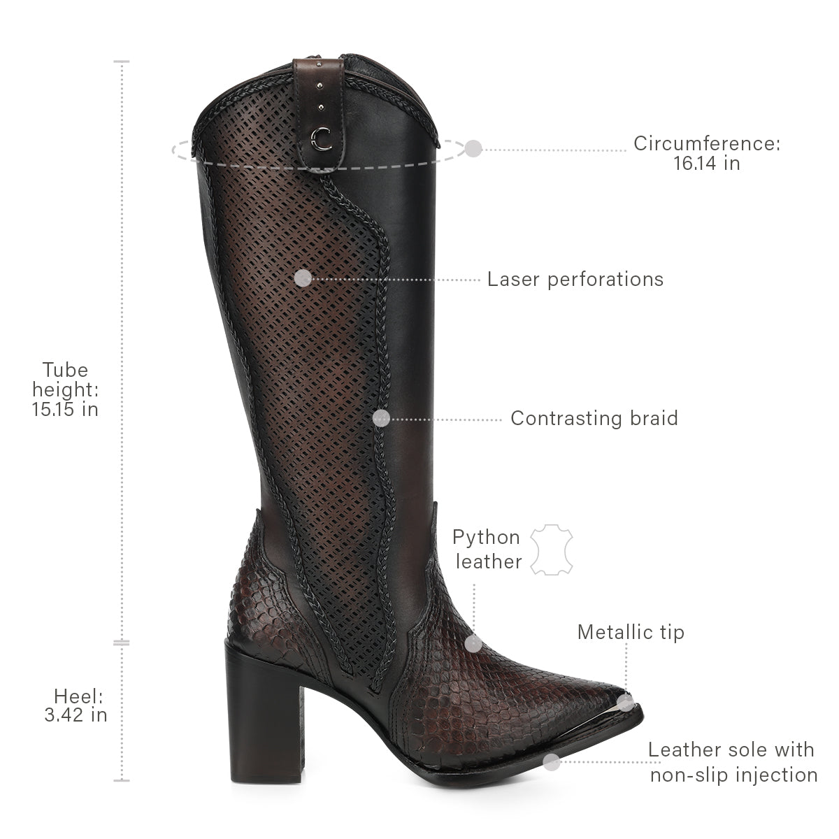 Chocolate Python M Zipper & Studs & Laser Point CC336