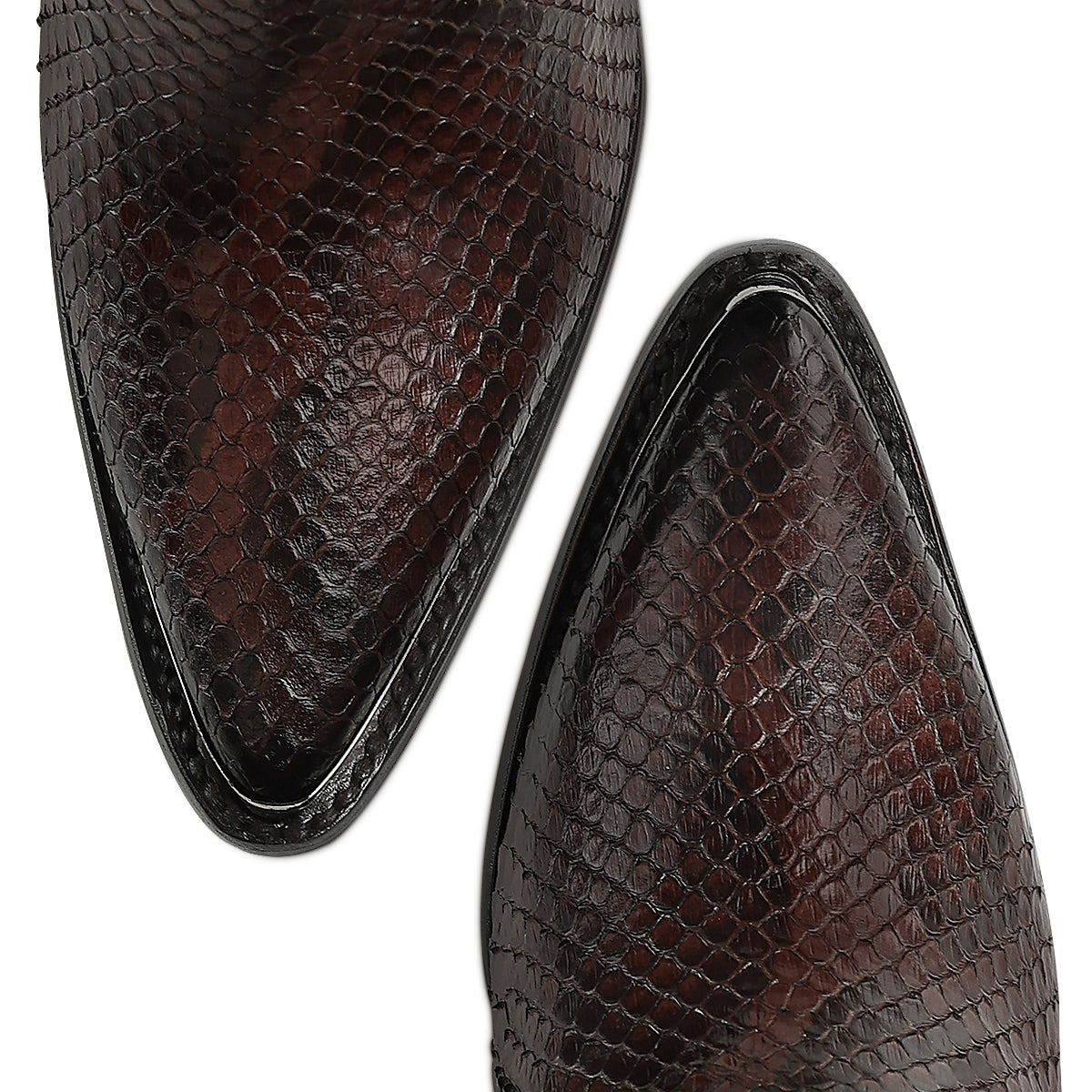 Chocolate Python M Zipper & Studs & Laser Point CC336