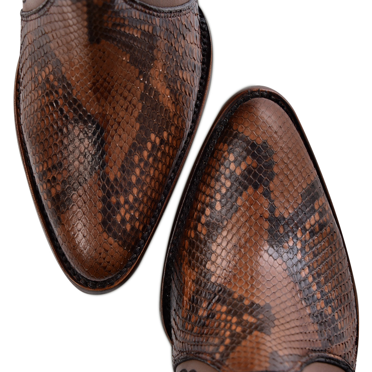 Cuadra Plunge Maple Python Zipper & Studs & Laser CU829