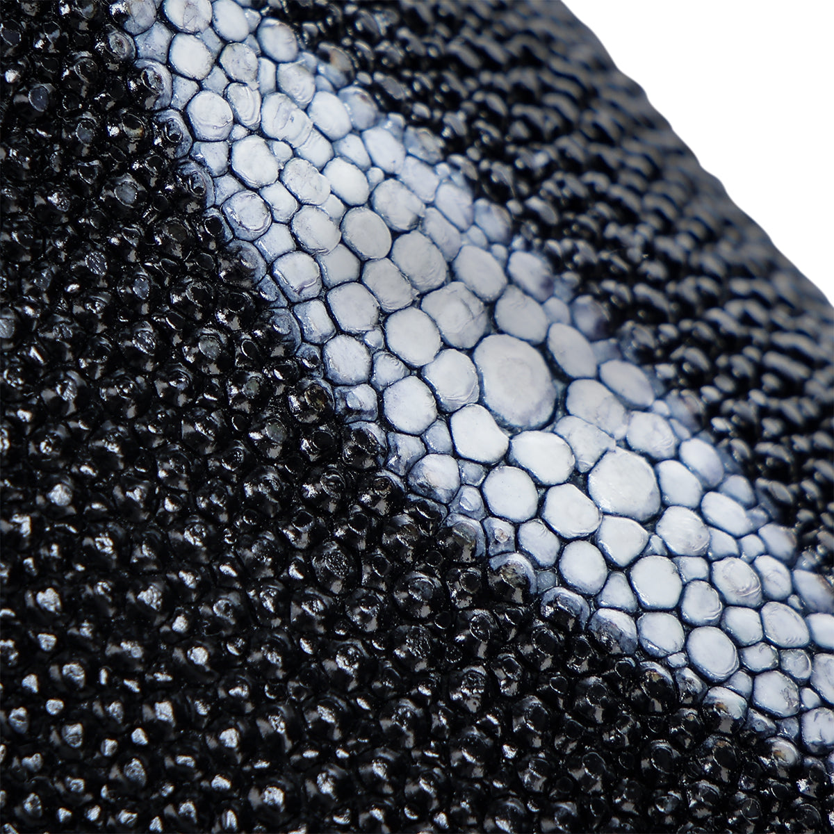 Franco Cuadra Black Stingray/ Calf FF211