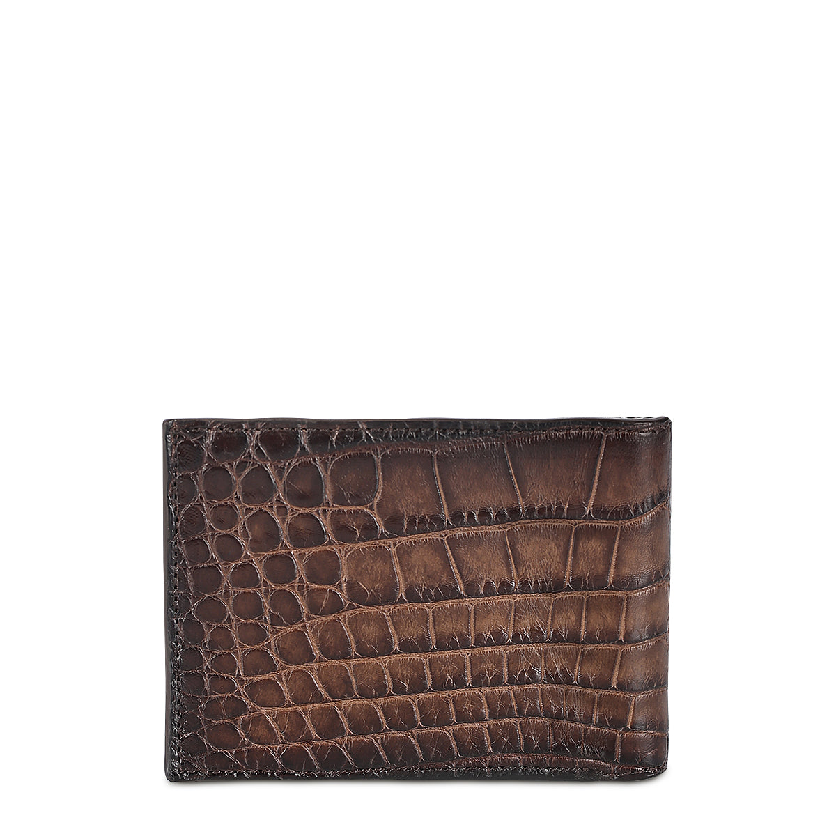 Cuadra Honey Alligator Studs Wallet DU712