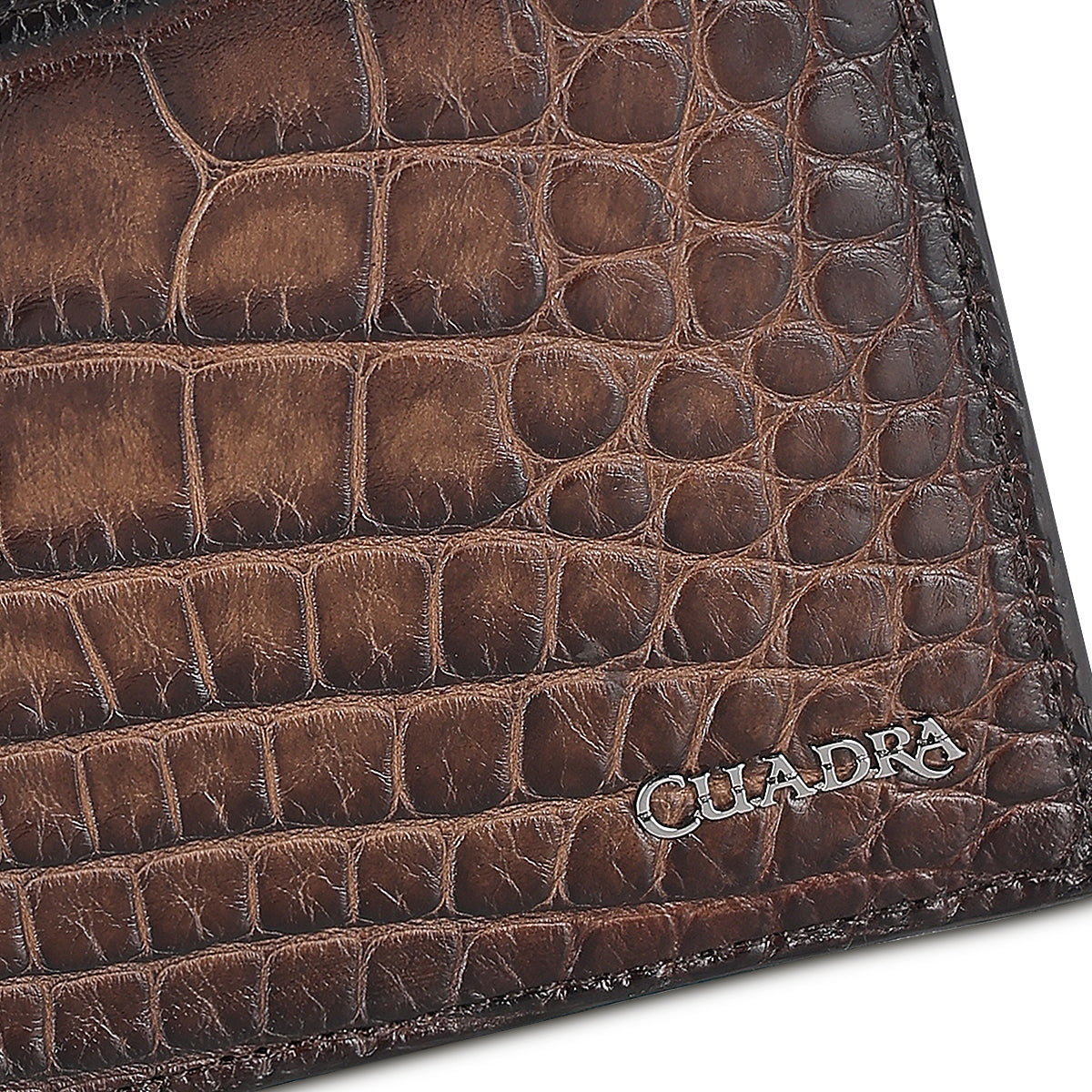 Cuadra Honey Alligator Studs Wallet DU712