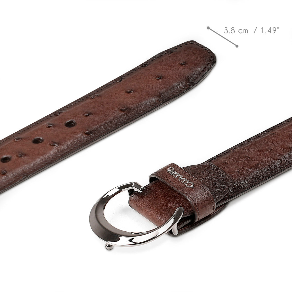 Cuadra Moroni Chestnut Ostrich BC278