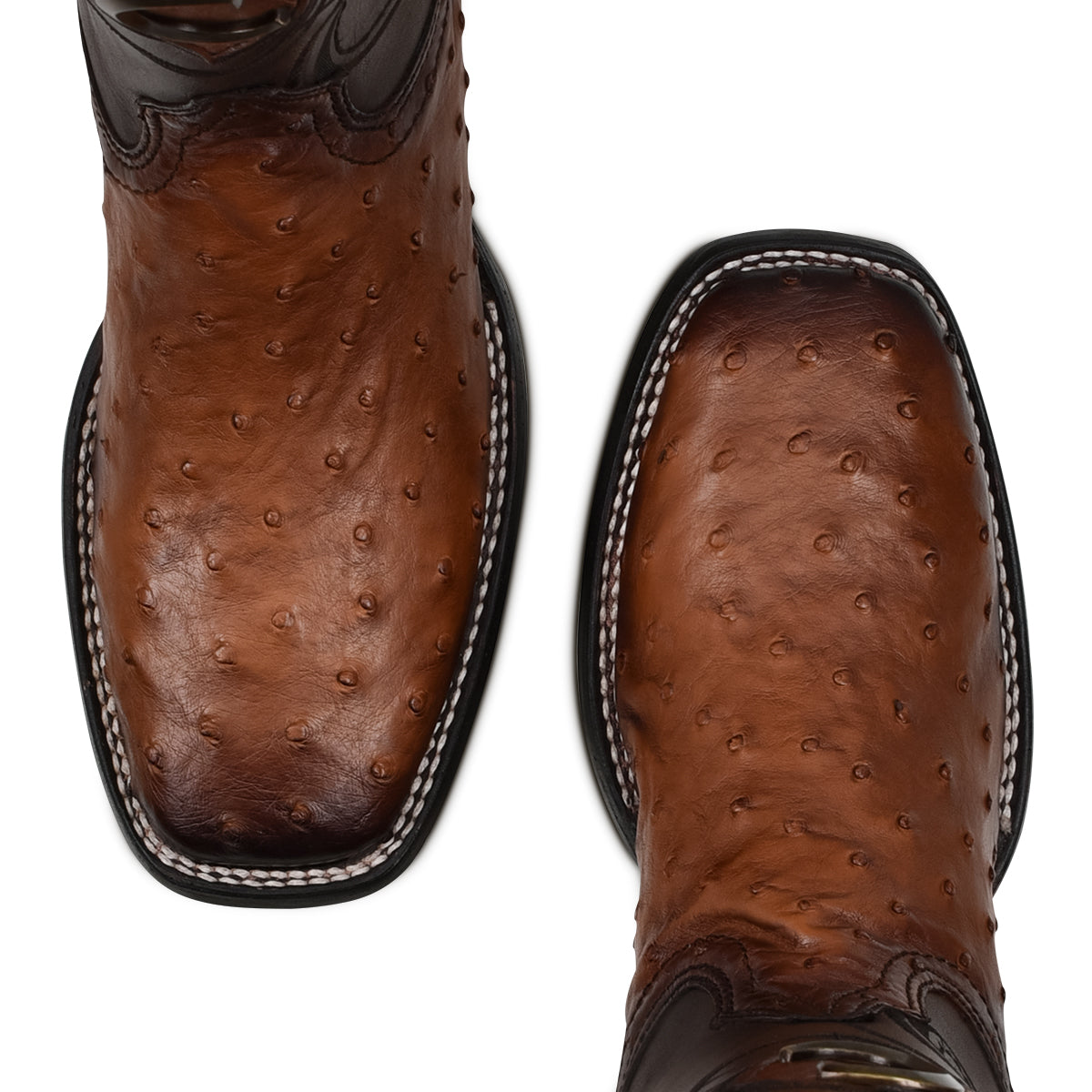 Cuadra Brown Ostrich Laser & Embroidery Square Toe CU457