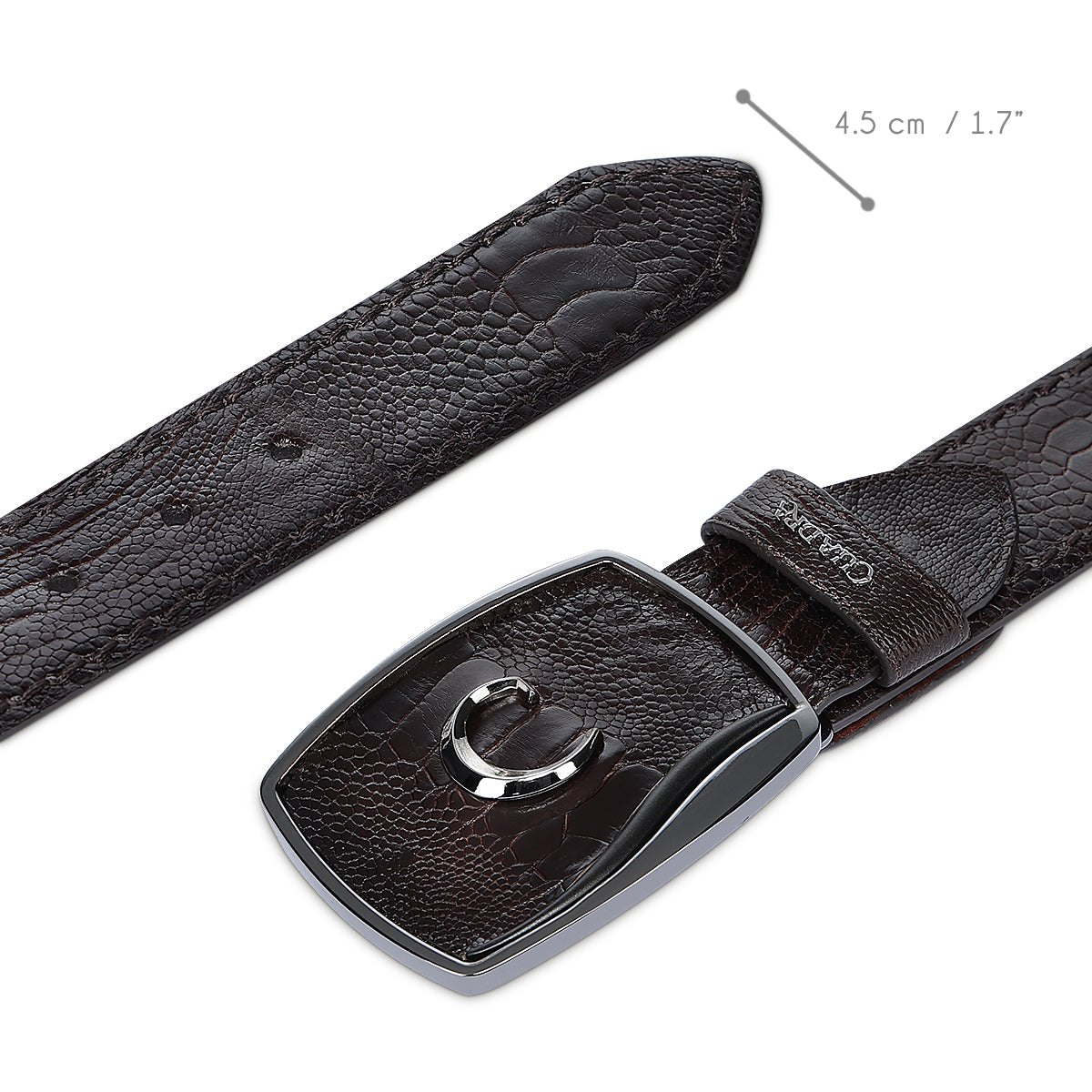 Cuadra Chocolate Ostrich Leg BC439