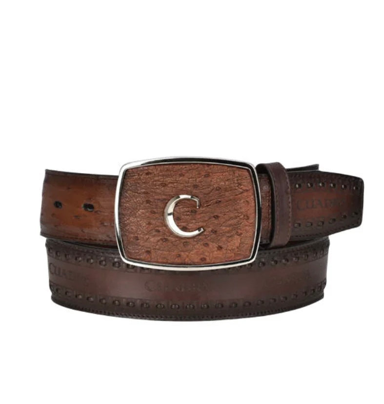 Cuadra Moroni Chestnut Ostrich BC278