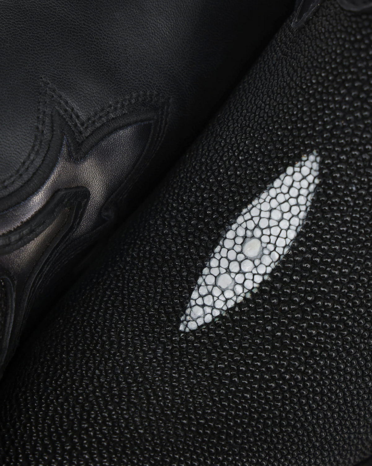 Cuadra Black Stingray Embroidery & Studs & Zipper Point CC375