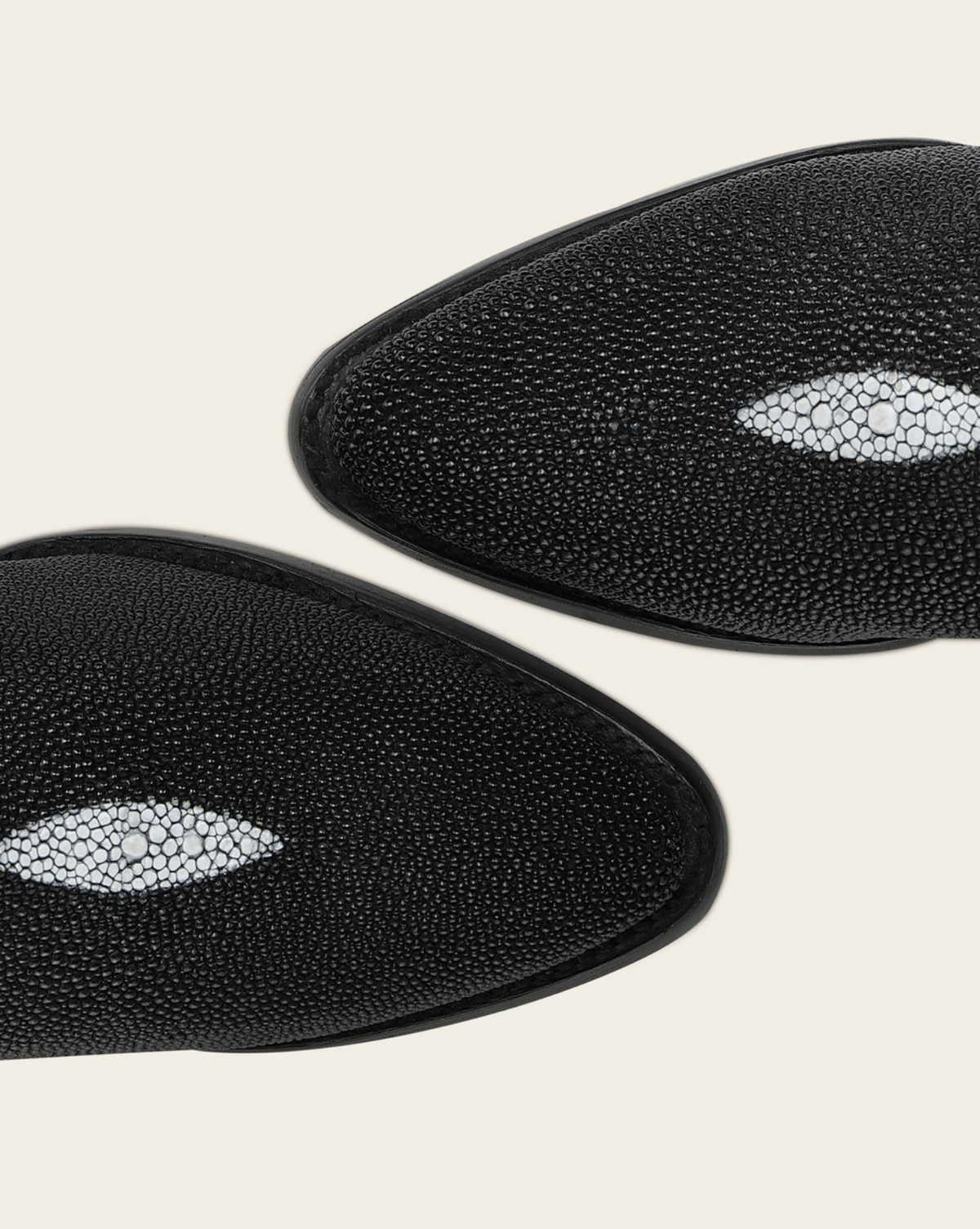Cuadra Black Stingray Embroidery & Studs & Zipper Point CC375