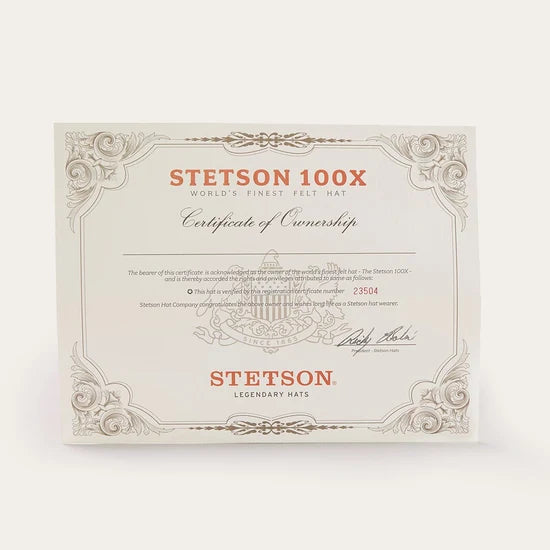 Stetson El Presidente 100X Black 4” Brim