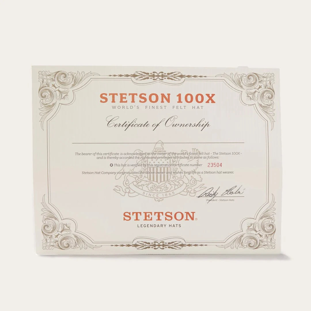 Stetson El Presidente 100X Silverbelly
